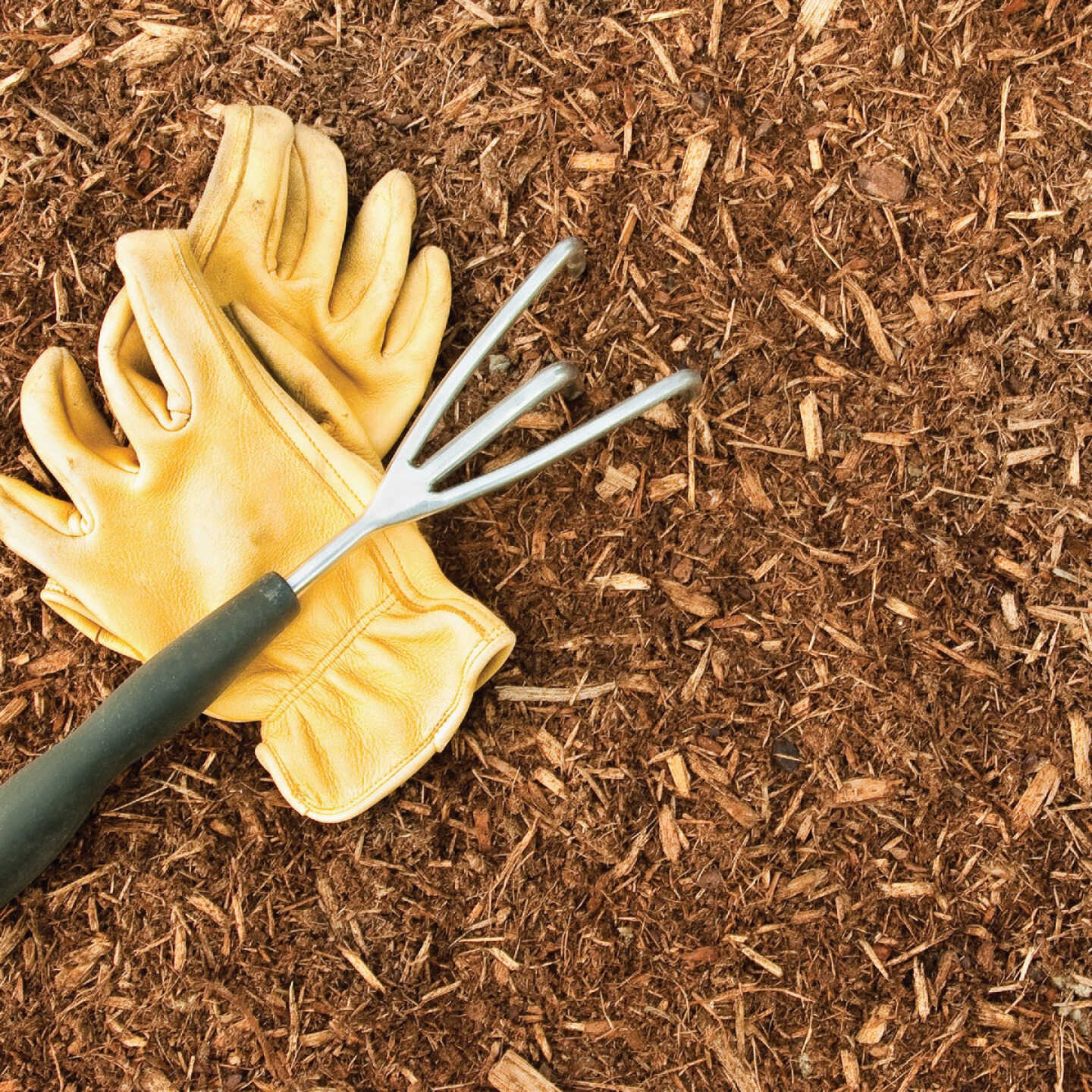 SBC 2 Cu. Ft. 100% Pure Cedar Mulch Image 2