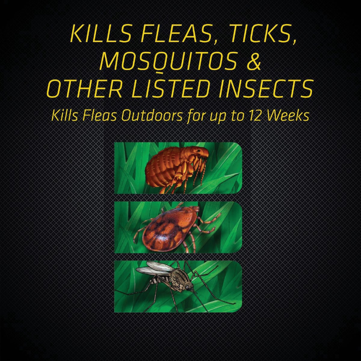 Black Flag 32 Oz. Ready To Spray Flea & Tick Killer Yard Treatment2 Image 5