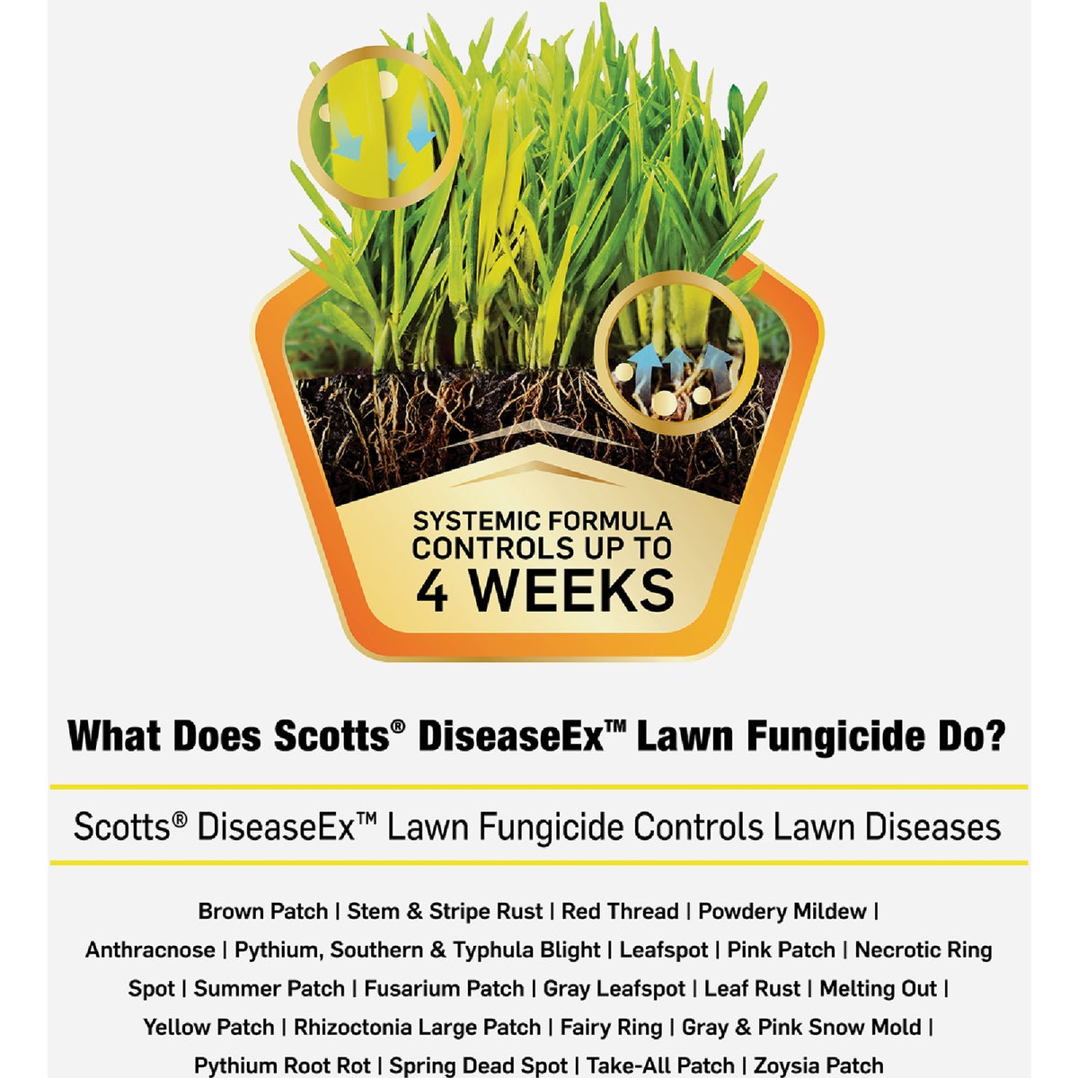 Scotts DiseaseEx 10 Lb. 5000 Sq. Ft. Broad Spectrum Disease Prevention and Control Lawn Fungicide Image 2