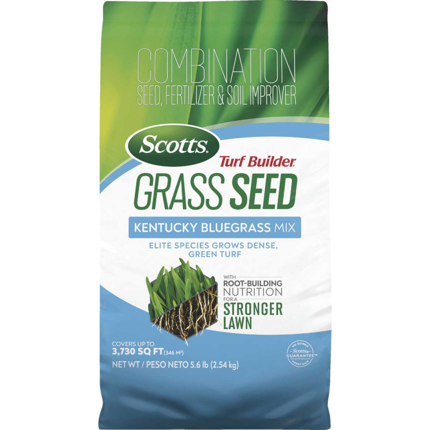 Scotts Turf Builder 5.6 Lb. 465 Sq. Ft. Kentucky Bluegrass Mix Grass Seed, Fertilizer, and Soil Improver Combination Image 1