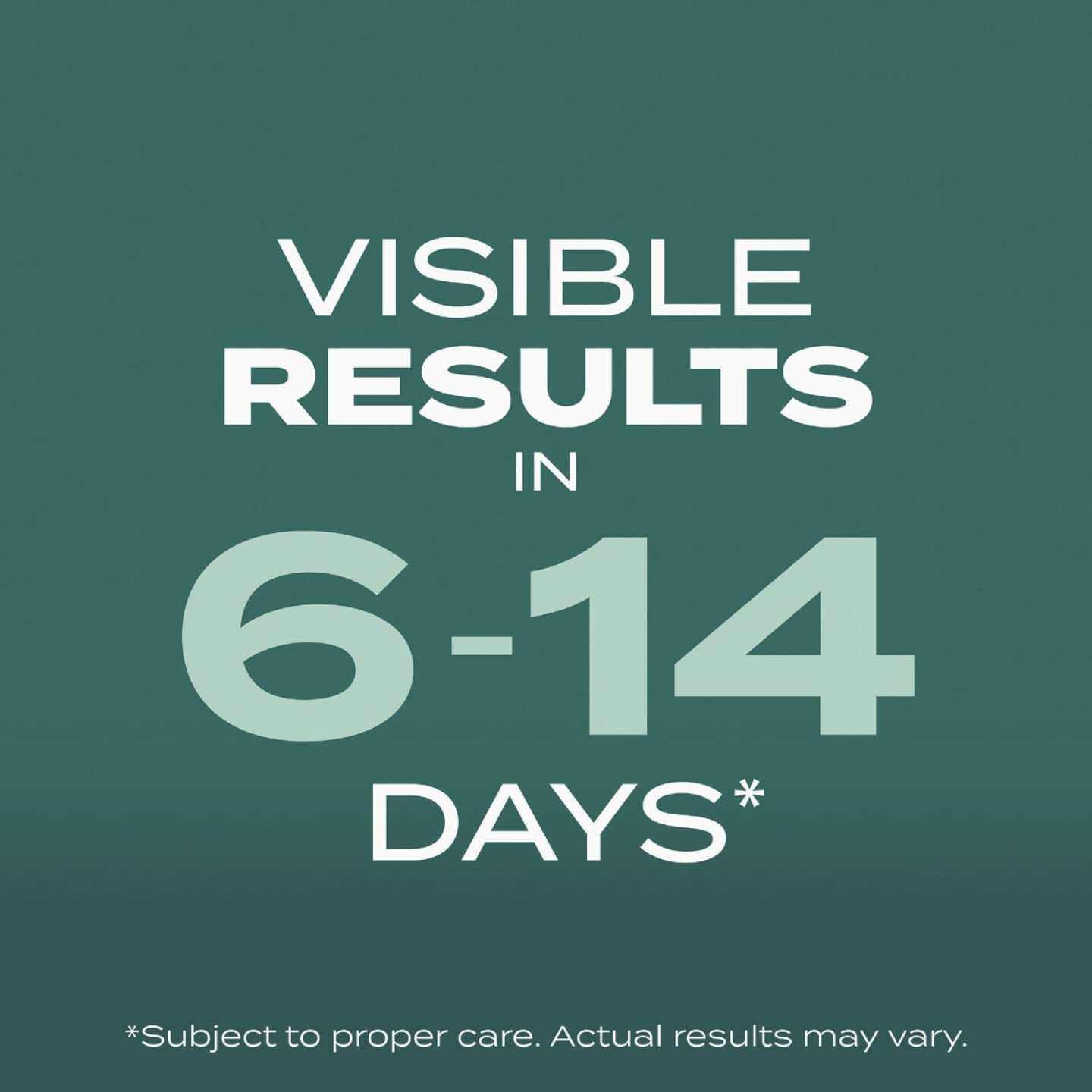 Scotts Turf Builder 2.4 Lb. 200 Sq. Ft. Dense Shade Mix Grass Seed, Fertilizer, and Soil Improver Combination Image 4