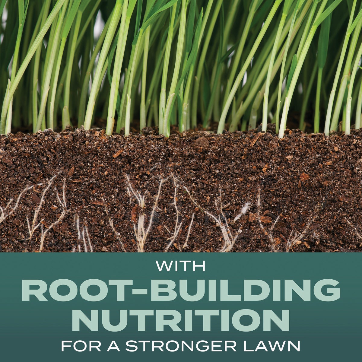 Scotts Turf Builder 2.4 Lb. 200 Sq. Ft. Dense Shade Mix Grass Seed, Fertilizer, and Soil Improver Combination Image 2