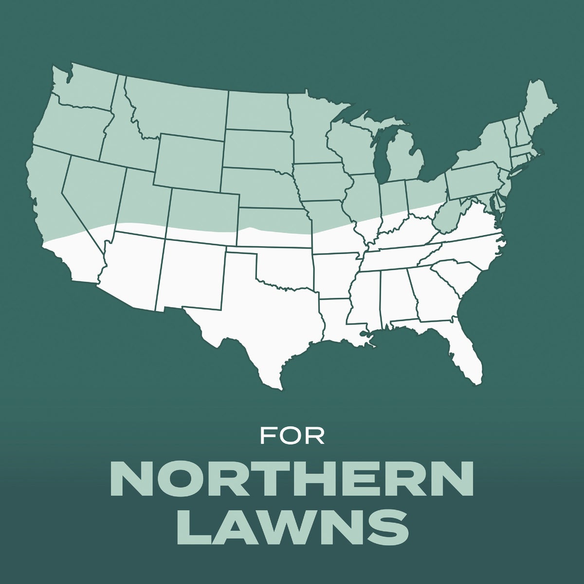 Scotts Turf Builder 2.4 Lb. 200 Sq. Ft. Dense Shade Mix Grass Seed, Fertilizer, and Soil Improver Combination Image 6