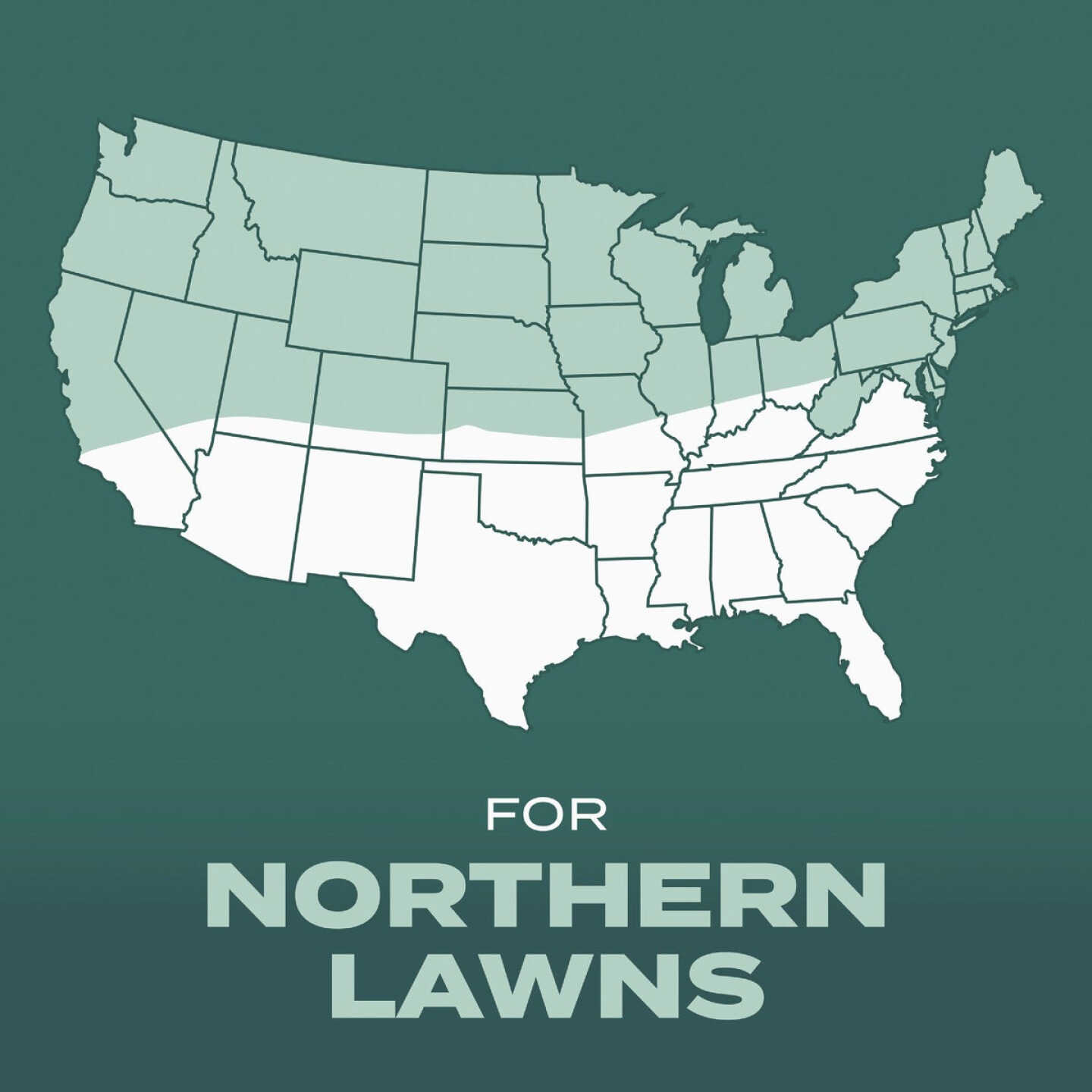 Scotts Turf Builder 2.4 Lb. 200 Sq. Ft. Dense Shade Mix Grass Seed, Fertilizer, and Soil Improver Combination Image 6