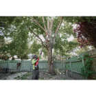 Milwaukee M18 FUEL Brushless 10 In. Telescoping Cordless Pole Saw Kit with 12.0 Ah Battery & Charger Image 9