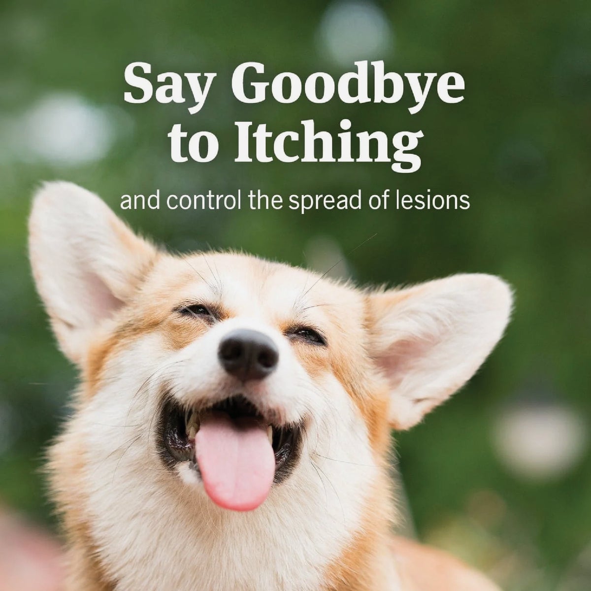 PetArmor 4 Oz. Anti-Itch Spray for Dogs & Cats Image 4