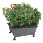 City Pickers 20 In. W. x 11 In. H. x 24 In. L. Slate Polyethylene Portable Patio Garden Kit Image 1