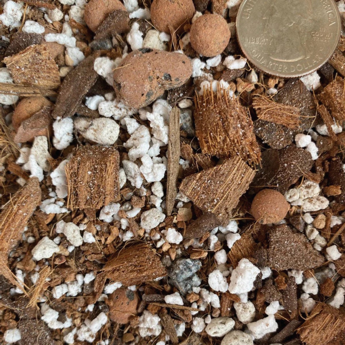 Sol Soils 2 Qt. Succulent Gritty Mix Image 4