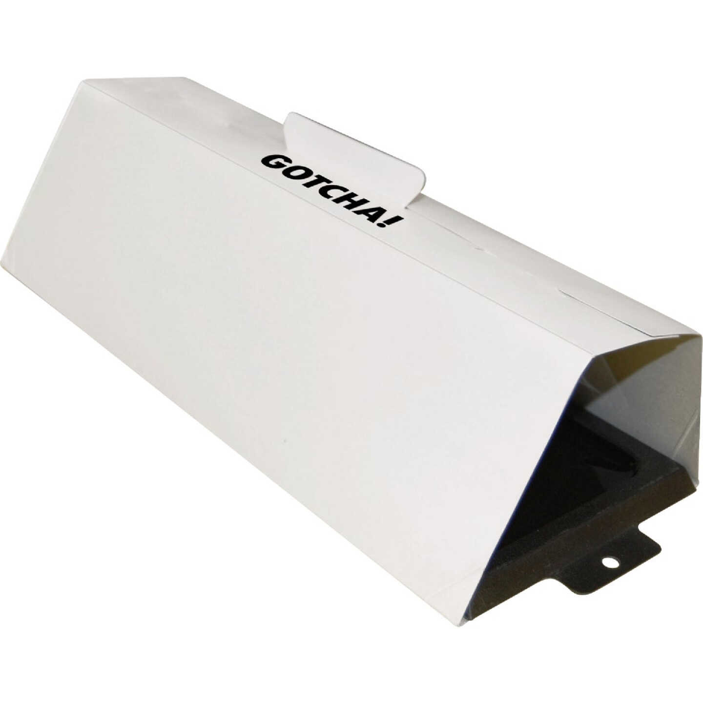 Intruder The Better GlueTrap with Canopy (2-Pack) Image 3