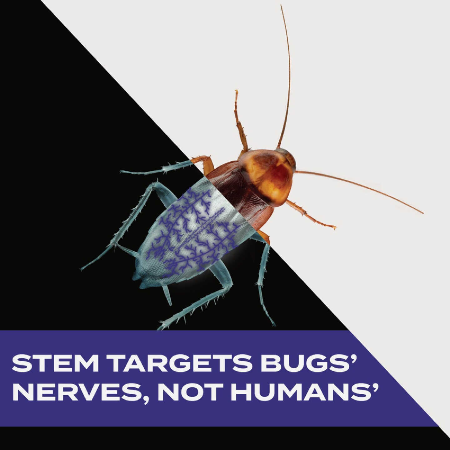 Stem 10 Oz. Aerosol Spray Crawling Insect Killer Image 4