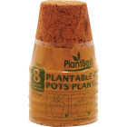 PlantBest 3.25 In. Coconut Coir Plantable Pot (8-Pack) Image 1