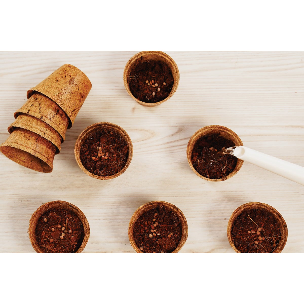 PlantBest 3.25 In. Coconut Coir Plantable Pot (8-Pack) Image 3