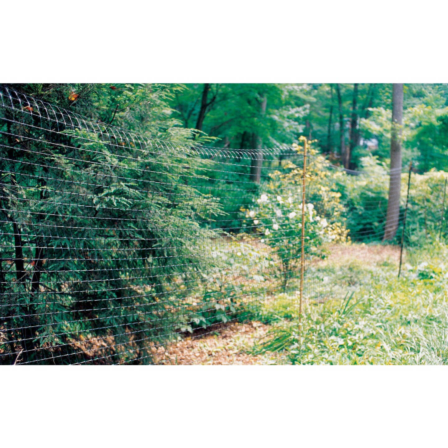 Tenax 7.5 Ft. H. x 100 Ft. L. Polypropylene Deer Fence, Black Image 3