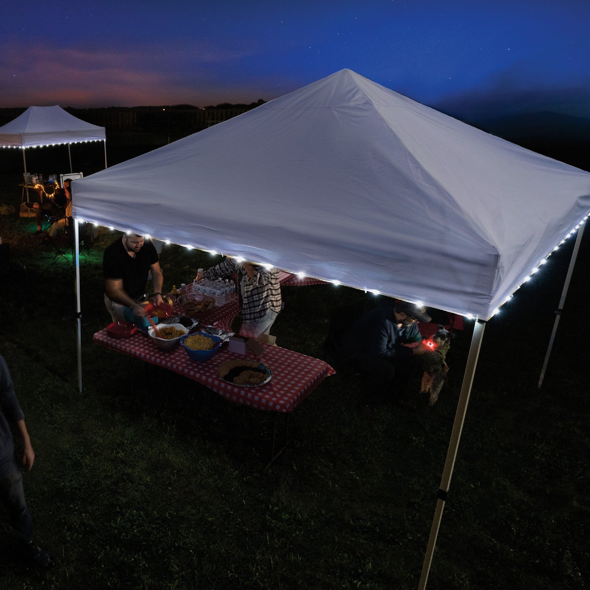 Brightz Canopybrightz 40 Ft. White LED Canopy Rope Light Image 2