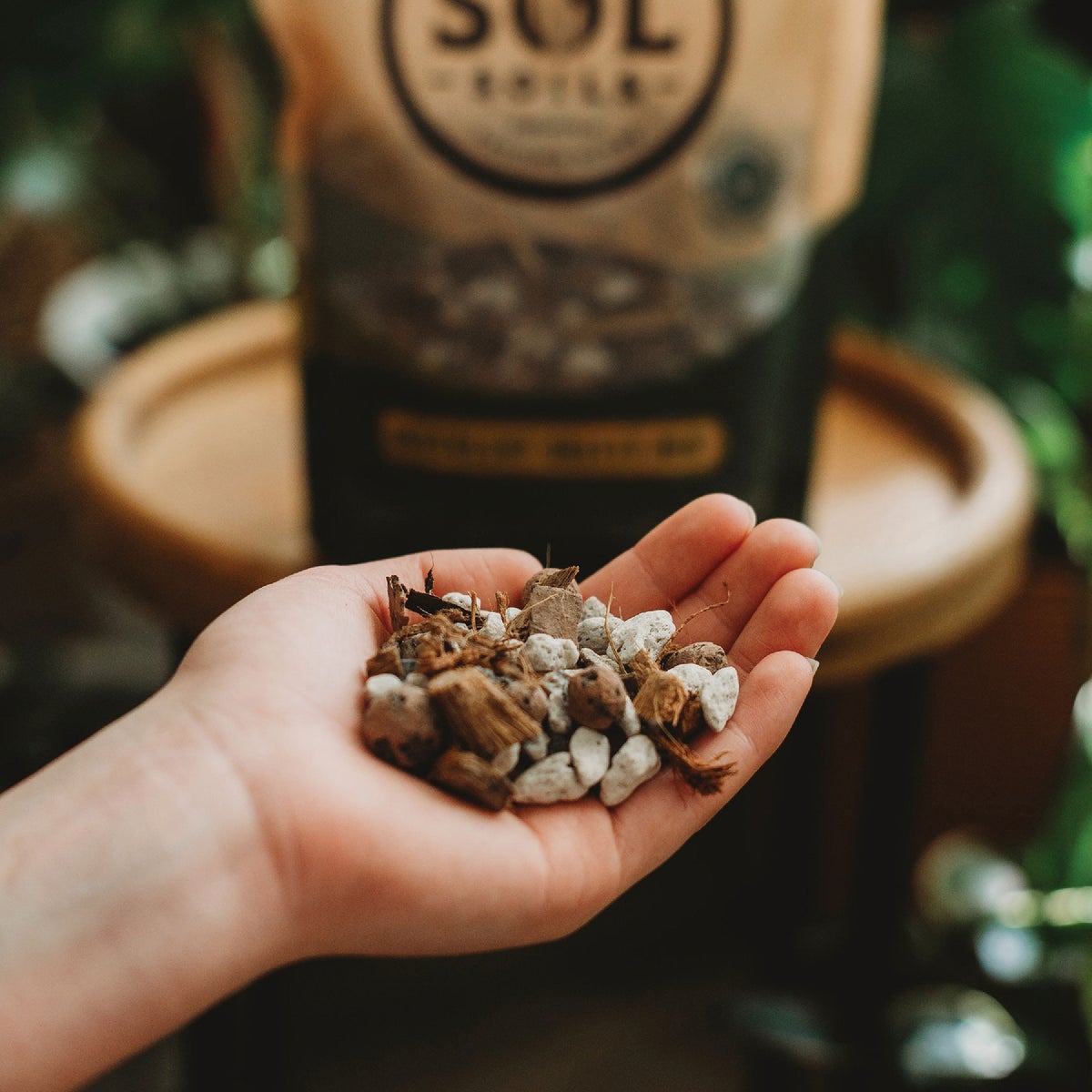 Sol Soils 4 Qt. Succulent Gritty Mix Image 2