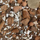 Sol Soils 4 Qt. Succulent Gritty Mix Image 4