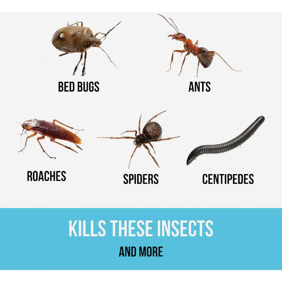 BUGG BUGGSLAYER 32 Oz. Ready To Use Trigger Spray Bed Bug Killer Image 3