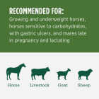 Standlee Premium Western Forage 50 Lb. Certified Alfalfa Grab & Go Compressed Bale Image 3