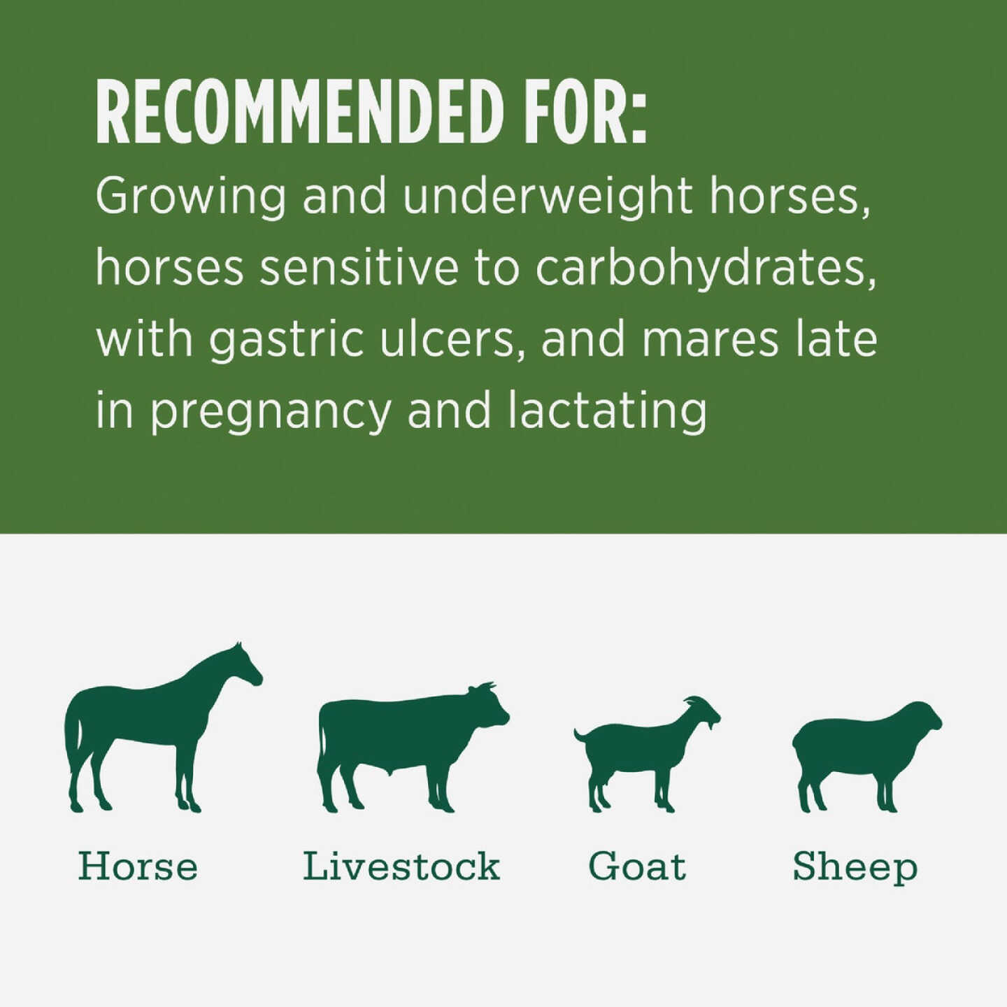 Standlee Premium Western Forage 50 Lb. Certified Alfalfa Grab & Go Compressed Bale Image 3