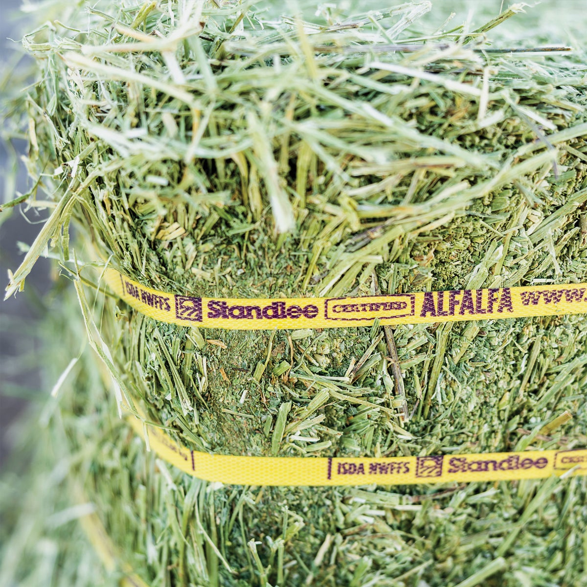 Standlee Premium Western Forage 50 Lb. Certified Alfalfa Grab & Go Compressed Bale Image 7