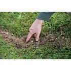 TOMCAT Mole Killer (10-Pack) Image 4