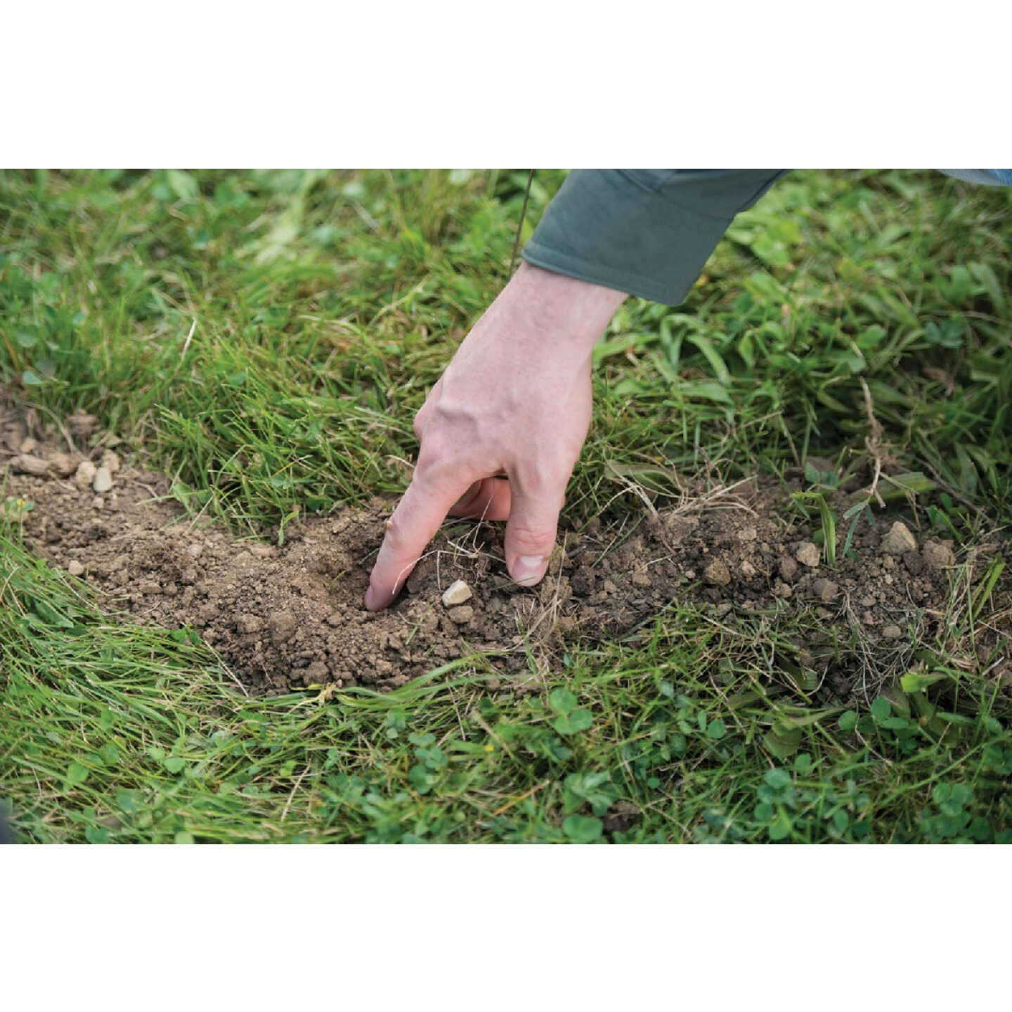 TOMCAT Mole Killer (10-Pack) Image 4