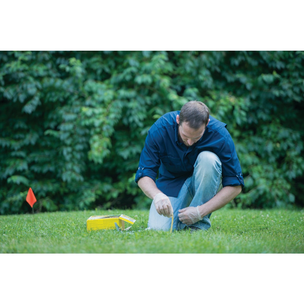 TOMCAT Mole Killer (10-Pack) Image 2