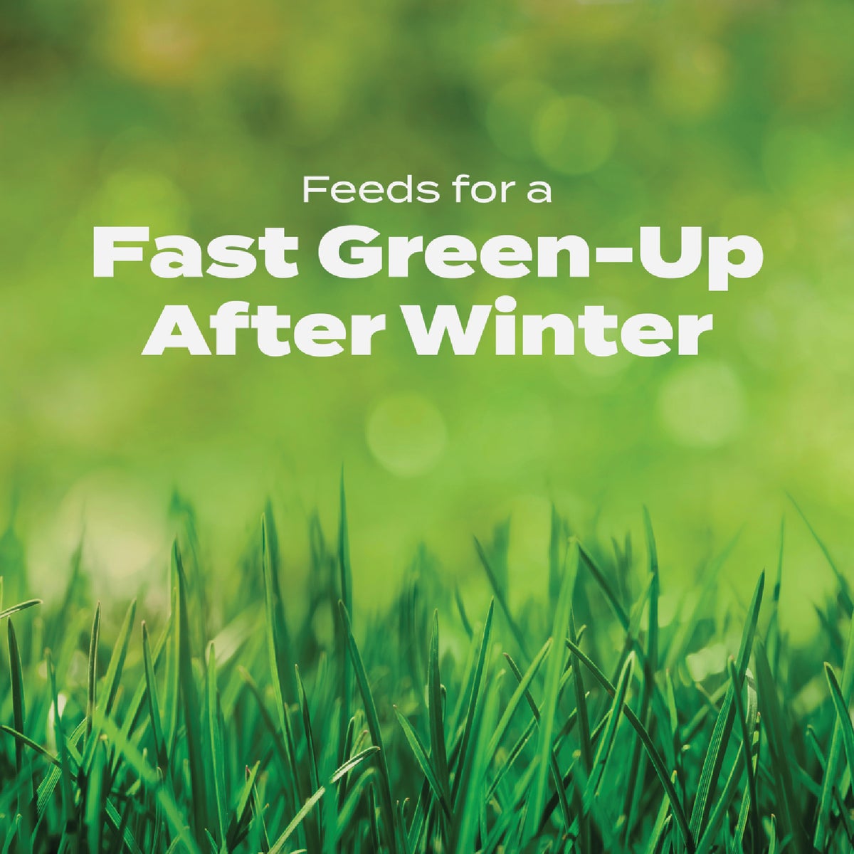 Scotts Turf Builder 13.35 Lb. 5000 Sq. Ft. Halts Crabgrass Preventer with Lawn Food Image 3