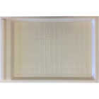 Harvest Lane Honey Beetle/Mite Trap Tray Image 4