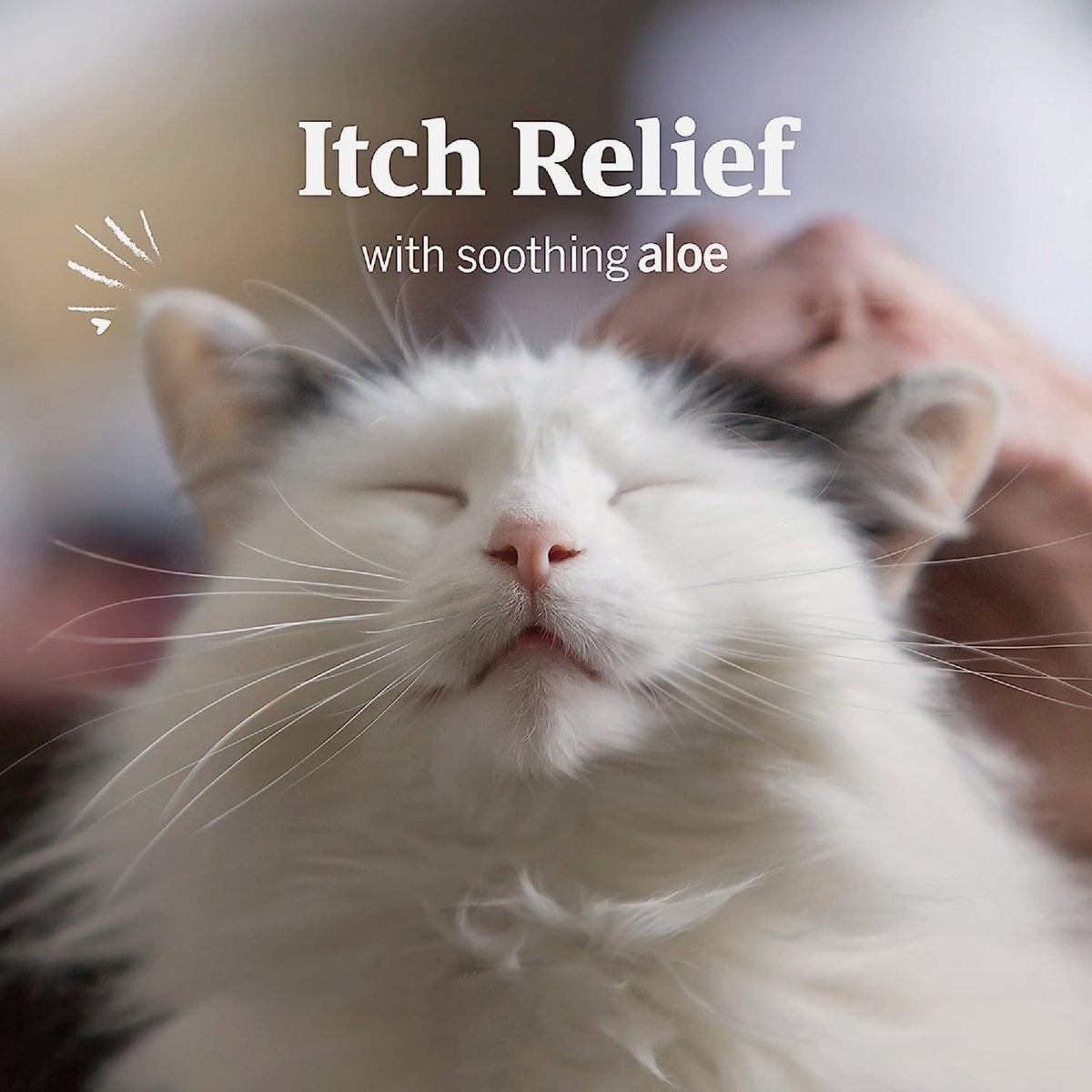 PetArmor 3 Oz. Ear Mite & Tick Treatment for Cats Image 2