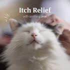 PetArmor 3 Oz. Ear Mite & Tick Treatment for Cats Image 2