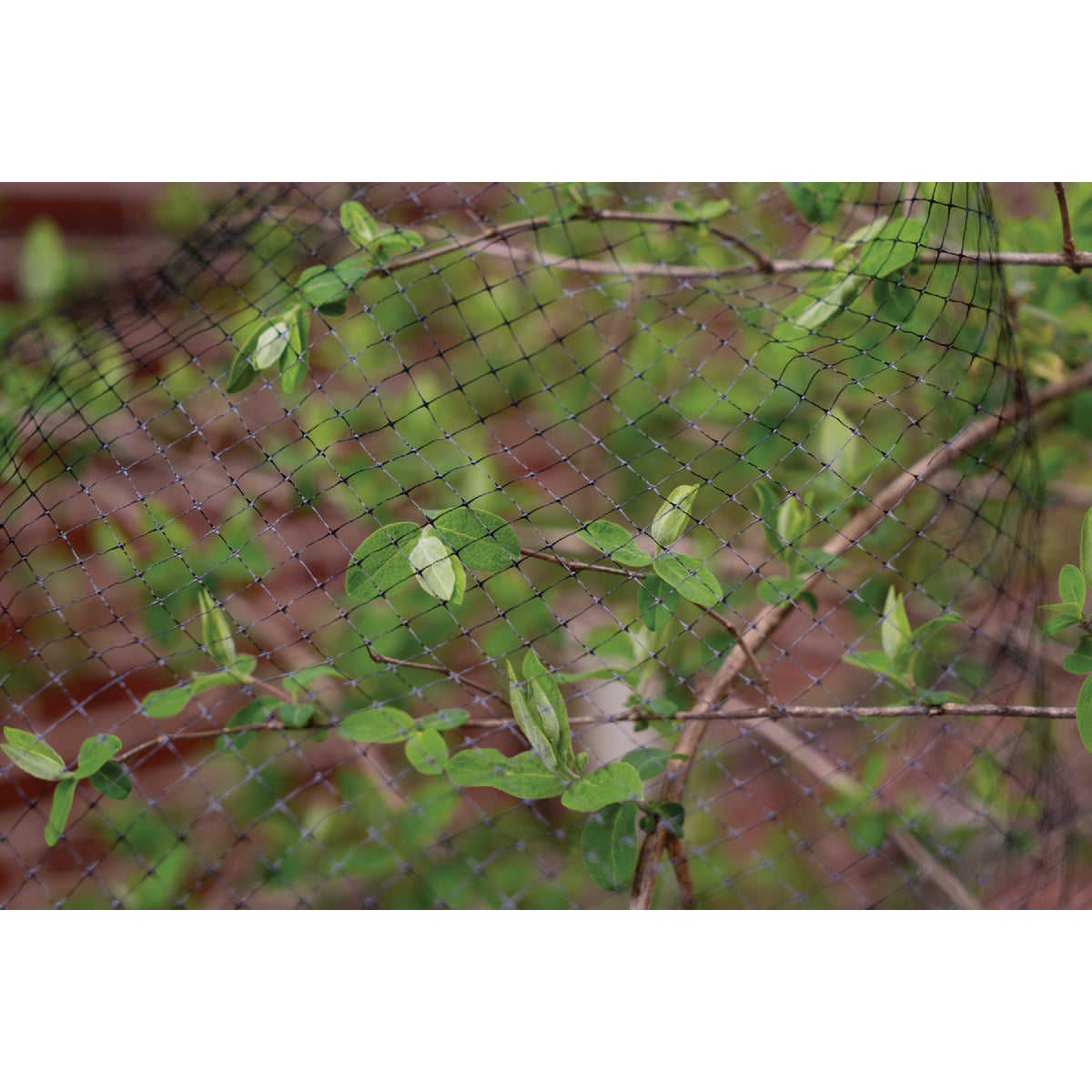 Dalen Cicada-X 3/8 In. Mesh 14 Ft. x 14 Ft. Protective Netting Image 3