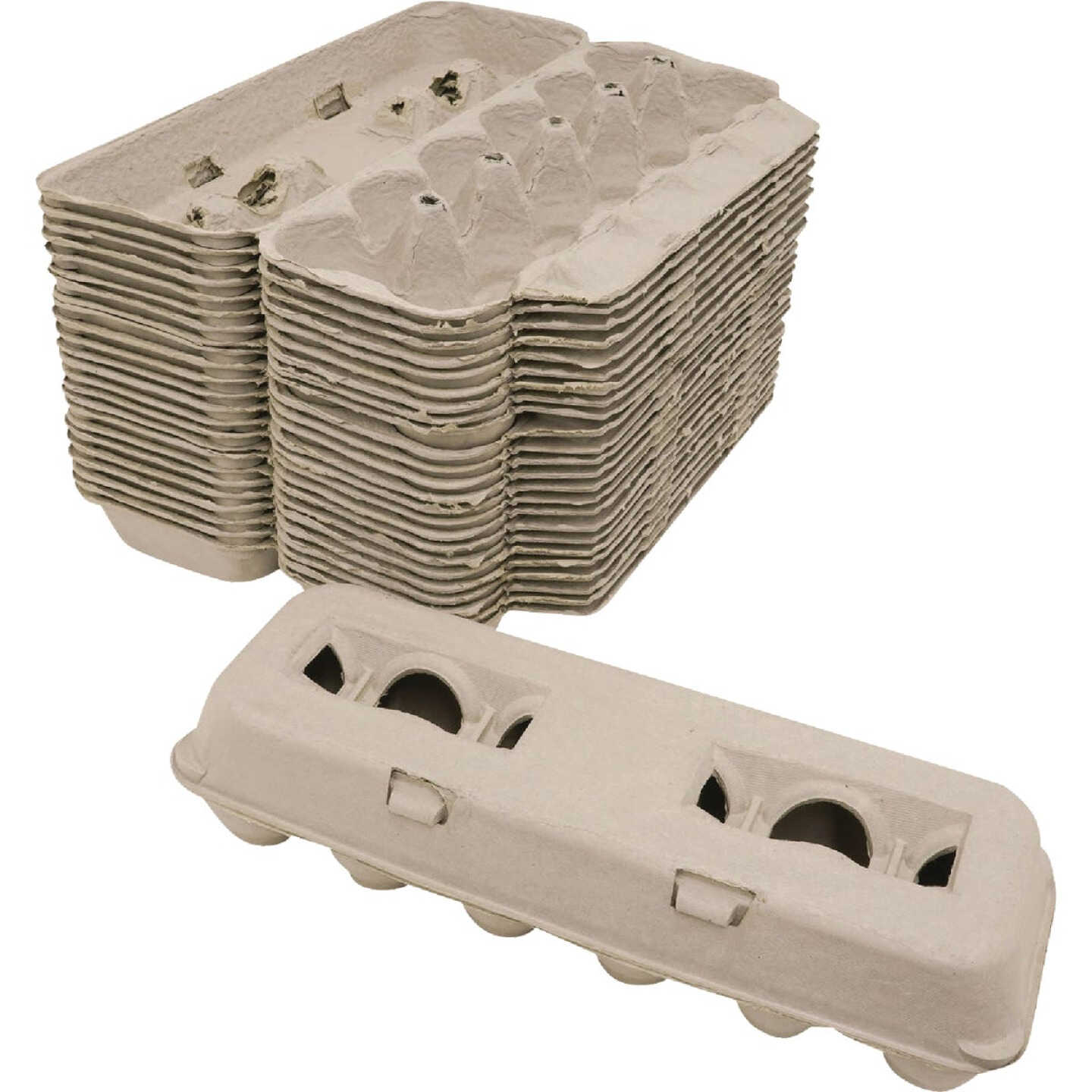 Stromberg's Large Blank Egg Carton (25-Count) Image 3