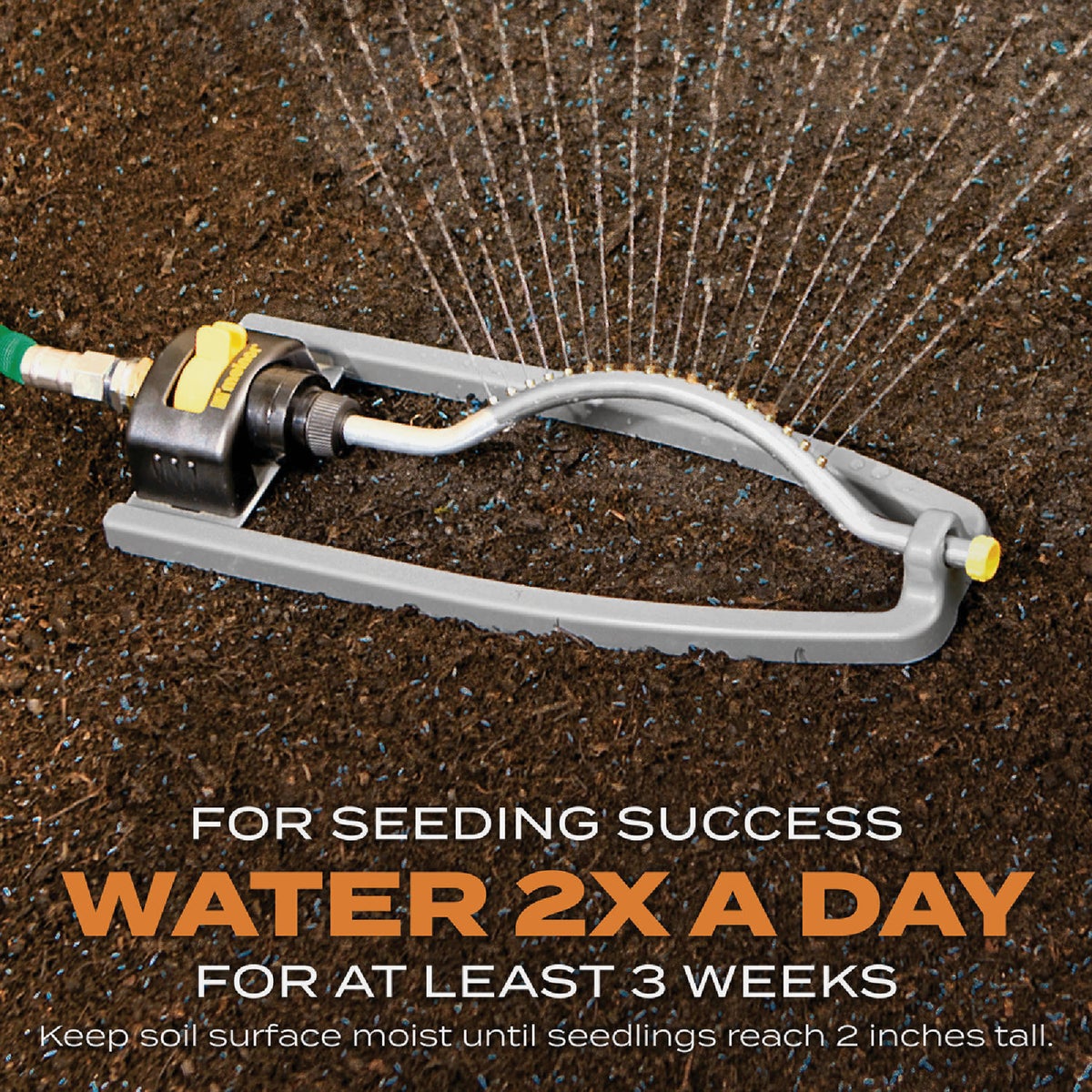 Scotts Turf Builder 1 Lb. 330 Sq. Ft. Bermudagrass Grass Seed, Fertilizer, and Soil Improver Combination Image 6