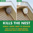 Spectracide 14 Oz. Foaming Wasp & Hornet Killer Image 4