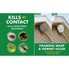 Spectracide 14 Oz. Foaming Wasp & Hornet Killer Image 3