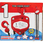 American Power Pull 2000 Lb. 10 Ft. Lift Chain Block Hoist Image 2