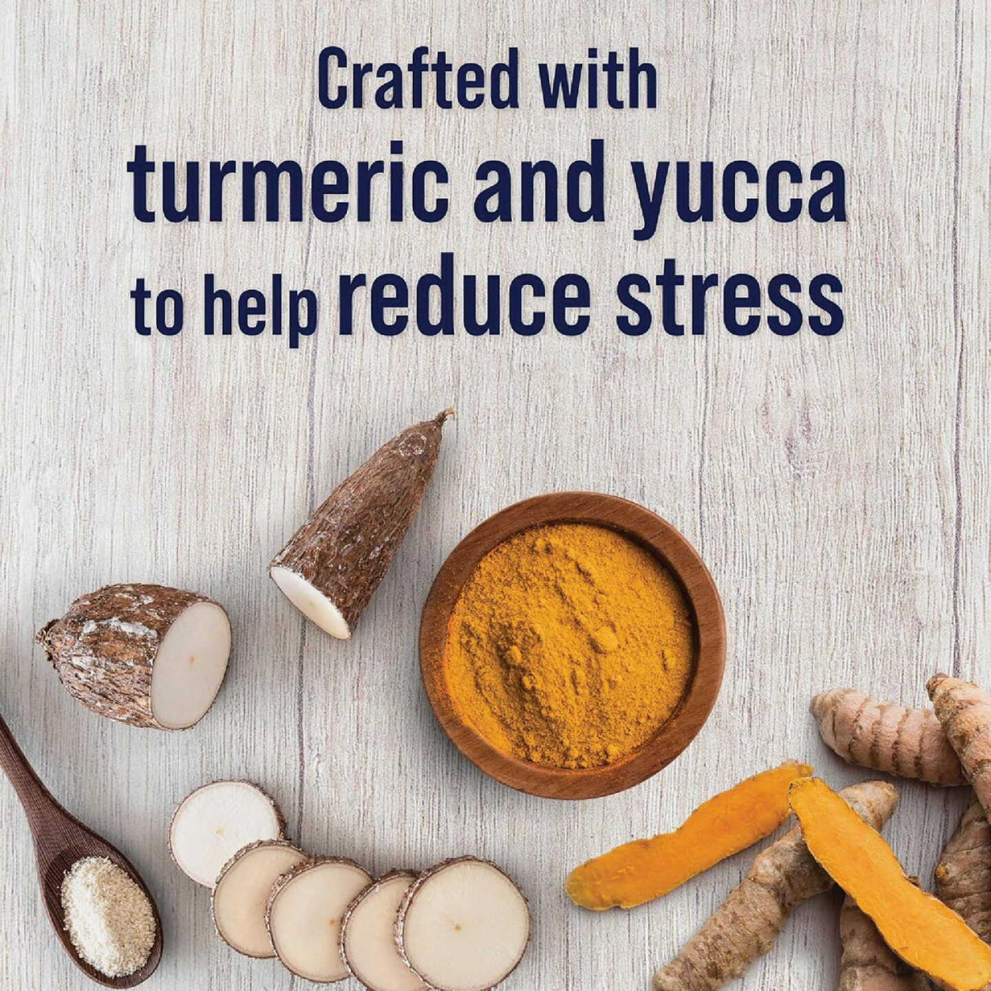 Stewart Immunity 4 Oz. Freeze-Dried Chicken Dog Treats Image 2