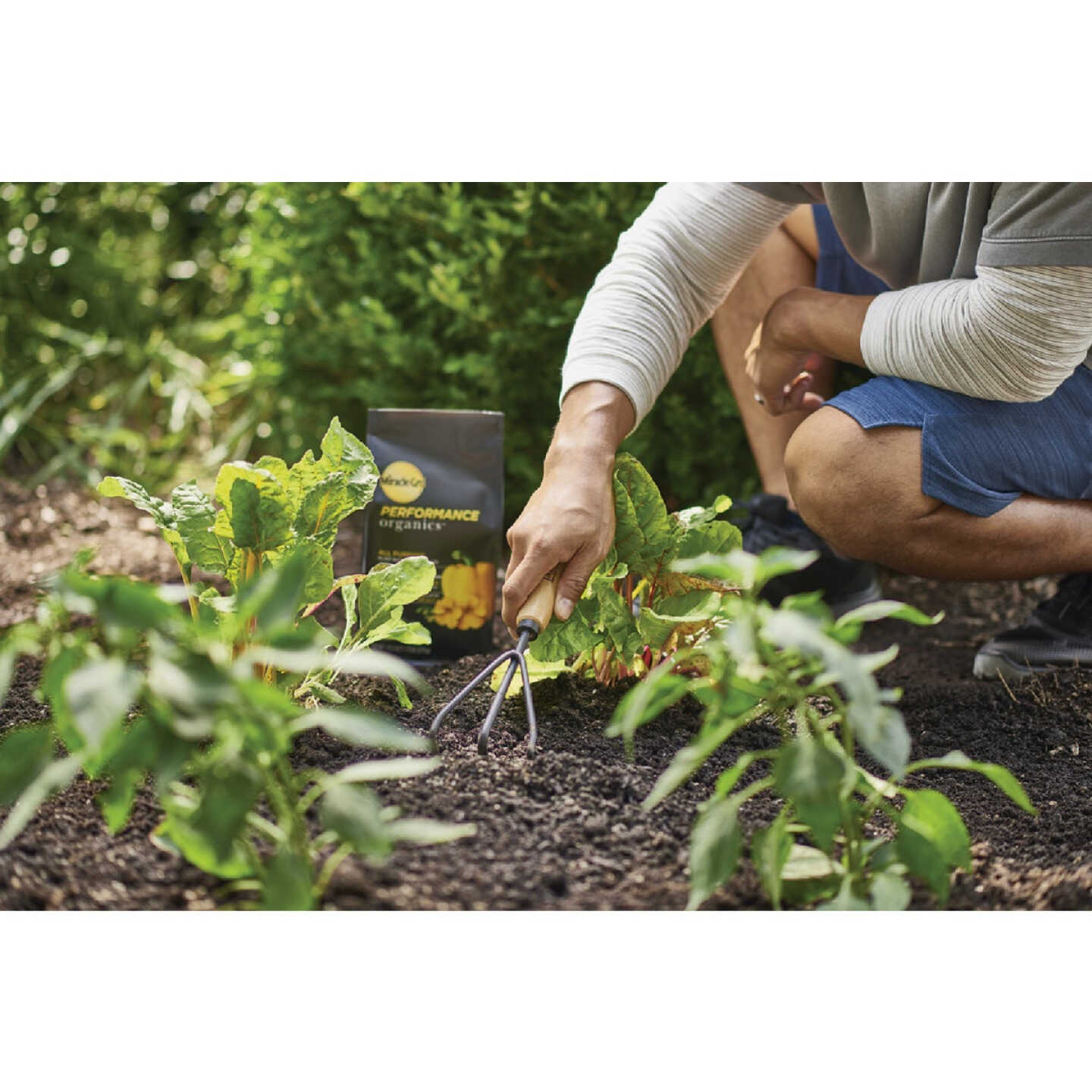 Miracle-Gro Performance Organics 1.75 Lb. All Purpose Plant Nutrition Granules Image 5