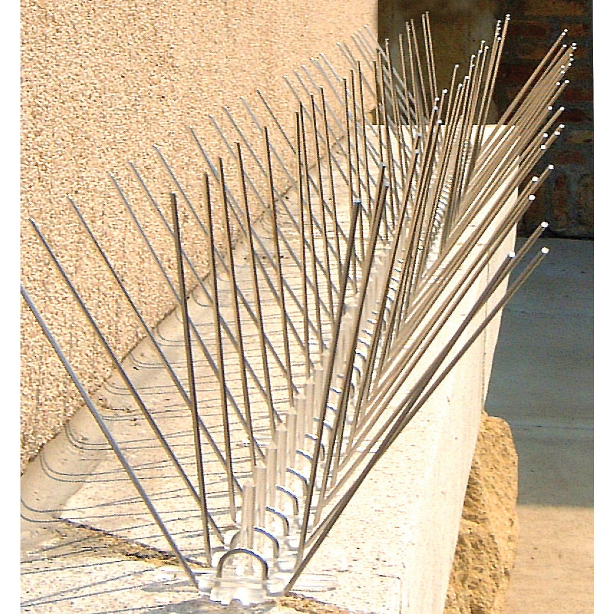 Bird X Stainless Steel 10 Ft. L. Bird Control Spikes Image 2