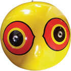 Bird X Scare-Eye 20 In. Inflatable Eye Pest Deterrent Decoy Image 3