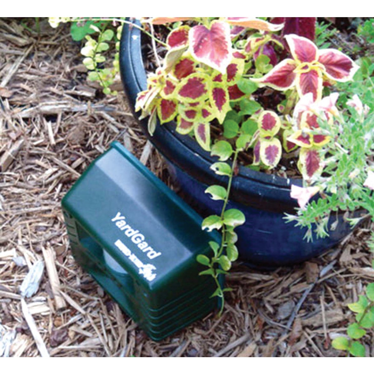 Bird X Yard Gard Ultrasonic 4000 Sq. Ft. Coverage 110V Electronic Pest Repellent Image 2