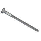 Hillman 1/2 In. x 8 In. Galvanized Hex Lag Screw (25 Ct.) Image 1