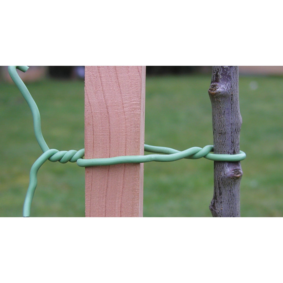 Rapiclip 16 Ft. Green PVC/Rubber Light-Duty Garden Twist Tie Image 4