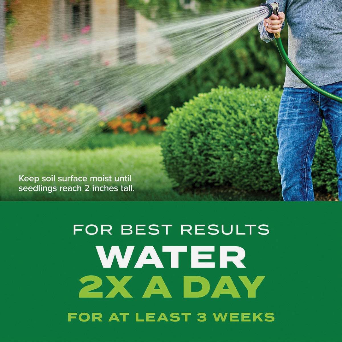 Scotts Turf Builder Rapid Grass 4 Lb. 1498 Sq. Ft. Bermudagrass Seed & Fertilizer Combination Image 5