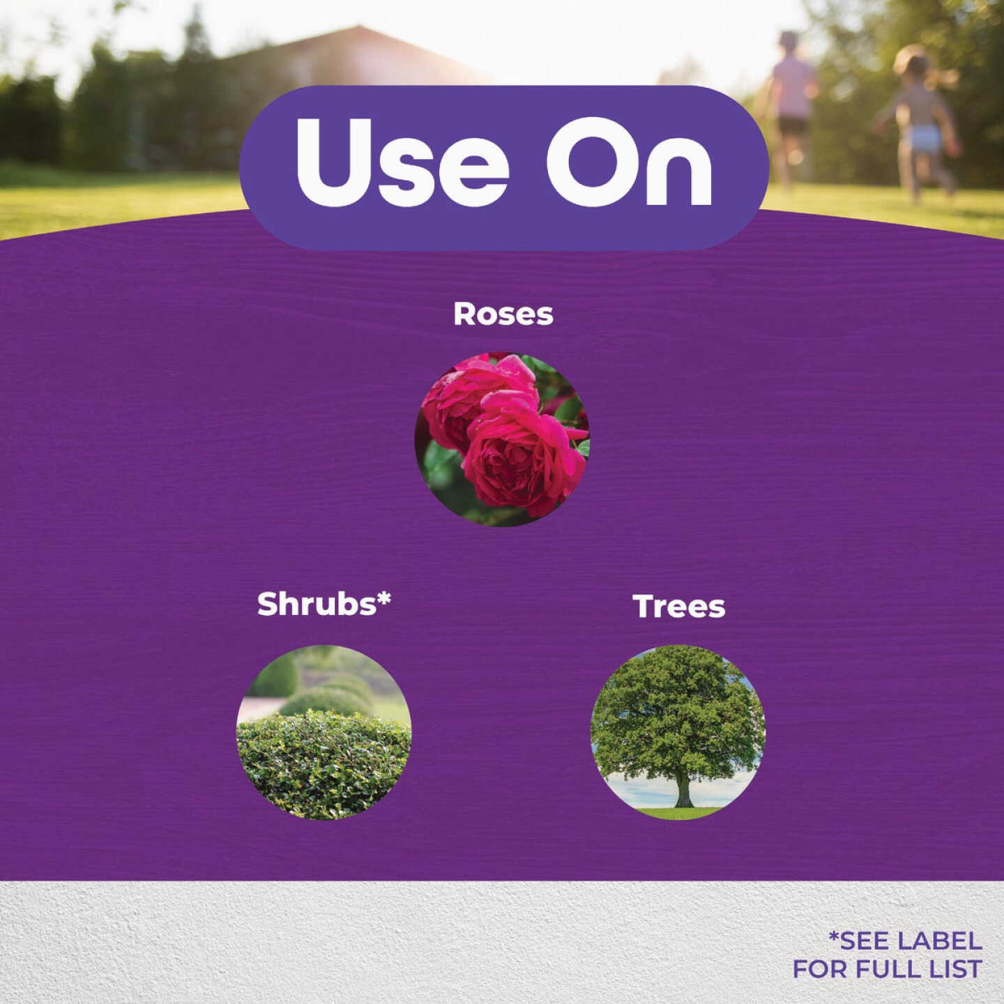 Bonide 16 Oz. Garden Rich Pruning Sealer with Brush Top Applicator Image 2