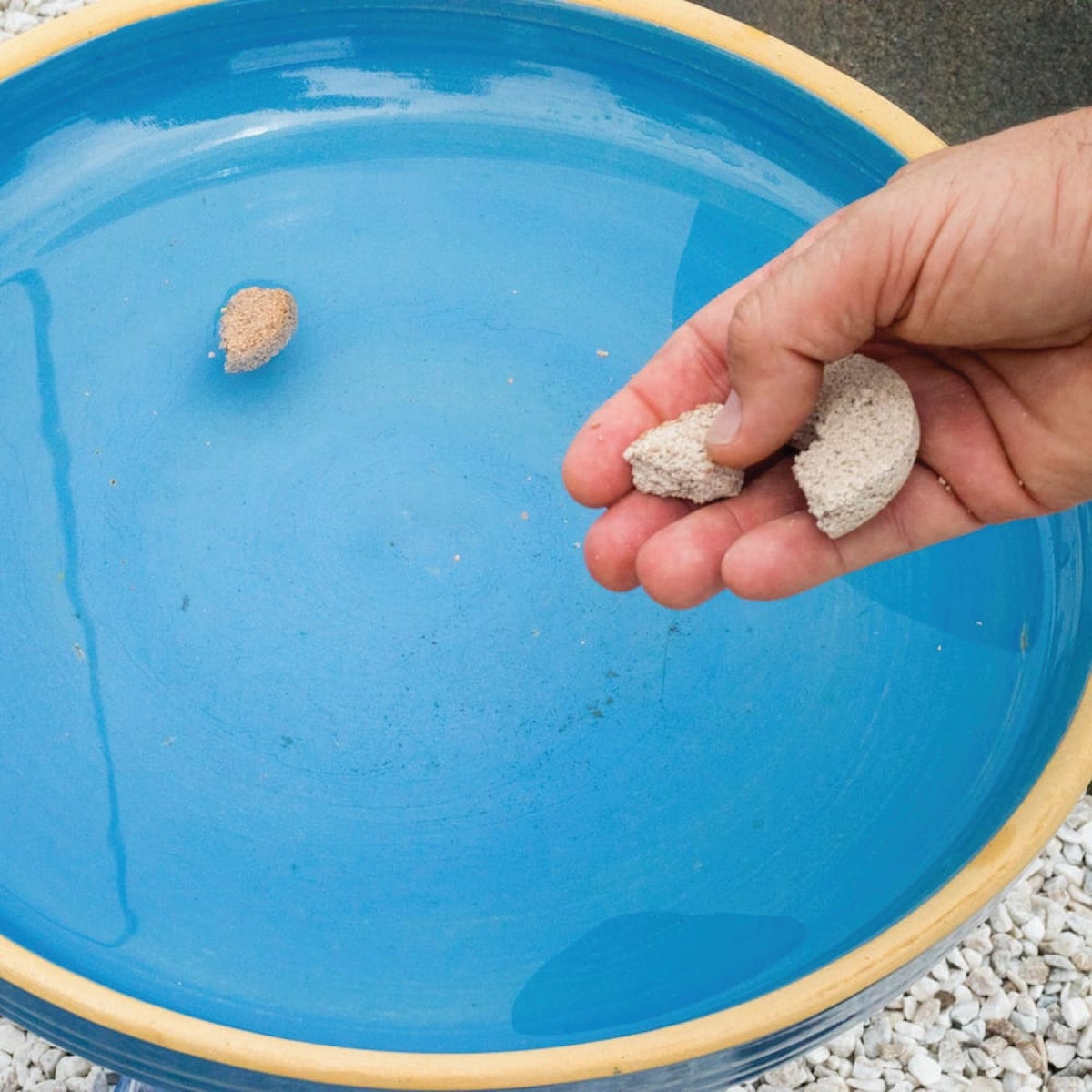 Mosquito Dunks Ready To Use Tablet Mosquito Killer (6-Pack) Image 5