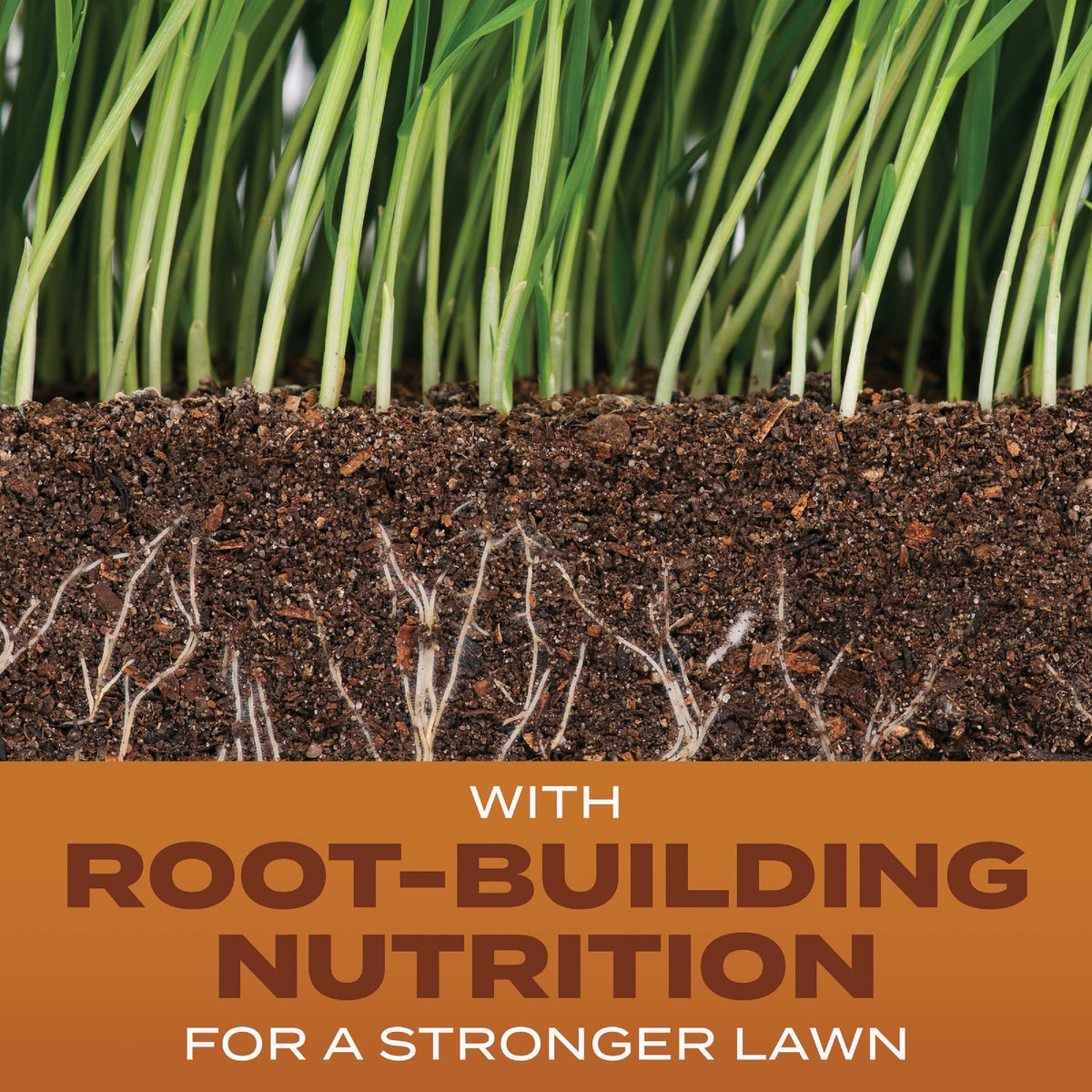 Scotts Turf Builder 2.4 Lb. 200 Sq. Ft. High Traffic Mix Grass Seed, Fertilizer, and Soil Improver Combination Image 2