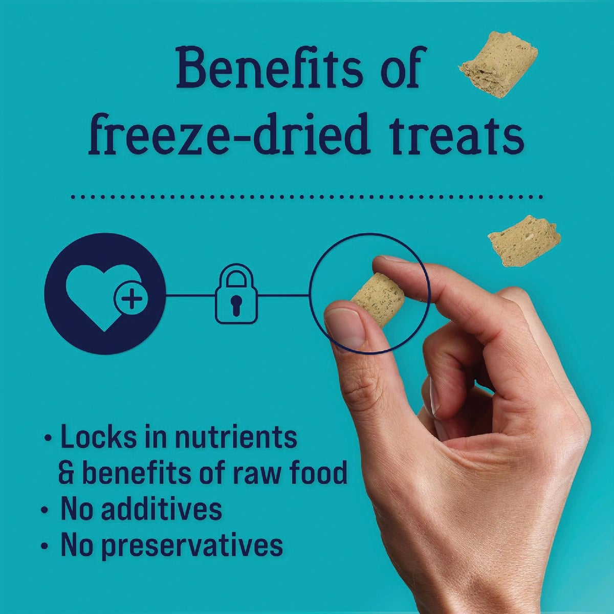 Stewart Immunity 8 Oz. Freeze-Dried Chicken Dog Treats Image 3