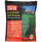 5LB BLEND T FESCUE SEED Image 1